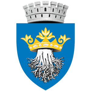 logo Brasov transparent