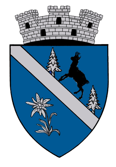 logo borsa maramures