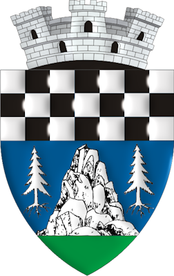 logo sinaia