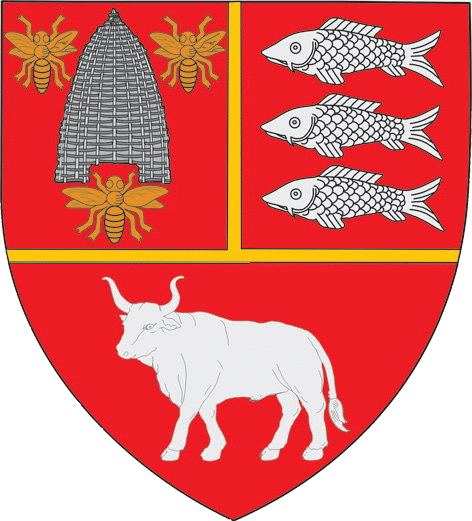 logo cj vaslui